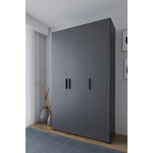Niro 3 Kapaklı Gardrop, Askılı Ve Raflı, 120 Cm Antrasit