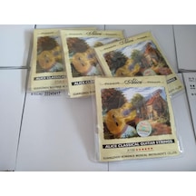 4 Paket Birden Alice A-106 Model Klasik Gitar Tel Seti-4 Set