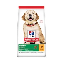 Scıence Plan Büyük Irk Tavuklu Yavru Köpek Maması 2.5 Kg