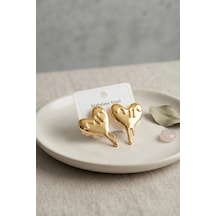 Mey İthalat 316l Çelik Gold Renk Melting Heart Model Küpe Diğer
