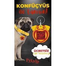 Petjoo 9.Konfüçyüs Kırmızı-Sarı Qr'lı Köpek Künyesi