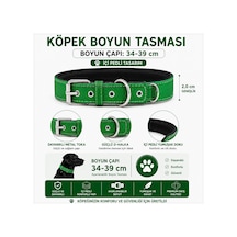 Pedli Köpek Boyun Tasması 34-39 Cm 2 Cm İçi Pedli Metal Tokalı D Halkalı - Çimen Yeşili Çok Renkli