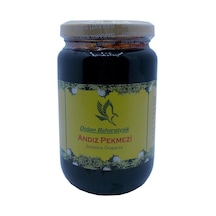 Doğan Baharatçılık Andız Pekmezi 450 G