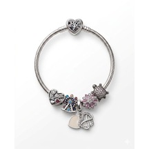 Kadın Oklu Kalp, Lunapark, Sallantılı Sonsuzluk Kalp, Pembe Taşlı Çiçek, Kaplumbağa Charmlı Çelik Kalp Kilit Bileklik 19 Cm Silver