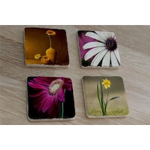 Papatya Ve Çiçekler Doğal Taş Bardak Altlığı 4'lü Set - Natural Stone Coasters - Taş Çok Renkli