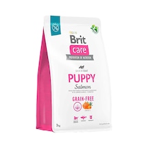 Tüm Irklar İçin Somonlu Ve Patatesli Tahılsız Yavru Köpek Maması 3 Kg