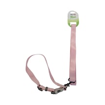 Senye Köpek Boyun Tasması Takım Yeşil X-large Çok Renkli