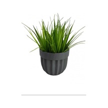 Çizgili Saksı Sazlı Çiçek Royaleks-5782 Çok  Renkli