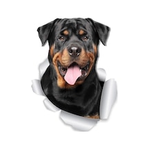 Rottweiler Köpek Araba Sticker 18Cm Etiket Yapıştırma