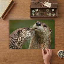 Sevimli Su Samurları Tasarımı 240 Parça Ahşap Puzzle Ahşap Kutuda Mpy50298