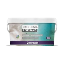 Reeflowers Caledonia Live Sand 18 Kg Purple