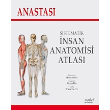 Anastasi-Sistematik İnsan Anatomisi Atlası - Carlo Tacchetti - Nobel Tıp Kitabevleri