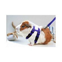 Ozzipetshop Ginepig Gine Pig Tasması Özel Patentli Tasarım