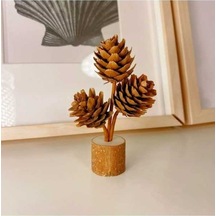 Opulentliving Çam Çekirdeği Masa Üstü Süs Nesnesi, Göyçəkli, 10-12 Cm Yükseklik, İçerik Elmpaly Mağazası