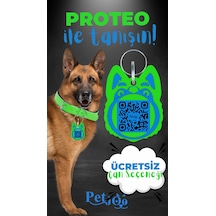 Petjoo 24.Proteo Mavi-Yeşil Qr'lı Köpek Künyesi