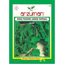 Roka Tohumu 1 Paket 25 Gr Geniş Yaprak Roka Tohumu