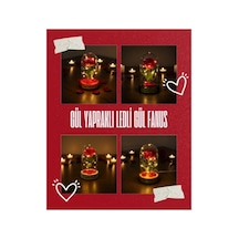 Gül Yapraklı Ledli Gül Fanus 66493913
