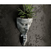 Housetredn Minimalist Duvar Dekoru Dekoratif Sukulent Ve Çiçeklik, Modern Duvar Dekoru, Antrasit/beyaz Opsiyonel Renk Diğer