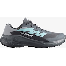 Salomon Kadın Koşu/fıtness Ayakkabı Alphaglıde Gore-tex L47802500 Gri