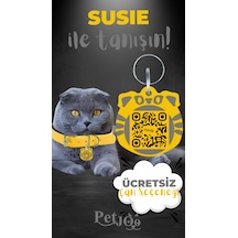 Petjoo 3.Susie Gri-Sarı Qr'lı Kedi Künyesi