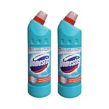 Domestos Yoğun Çamaşır Suyu Okaliptus Ferahlığı 2 x 750 ML