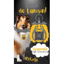 Petjoo 23.Lad Sarı-Gri Qr'lı Köpek Künyesi
