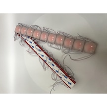 12 Volt 2.4 Watt Lensli Modül Kırmızı (10 Adet)