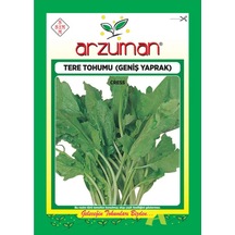 Helen Tere Tohumu Geniş Yaprak 25 Gr