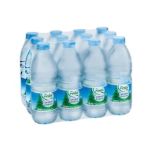 Pınar Su 48 x 500 ML