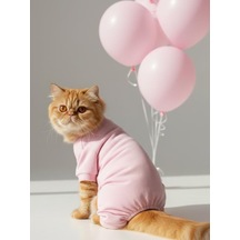 Teddy Bear Pamuklu Kedi Tulum Pijama