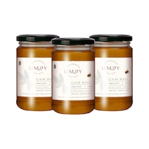 Umay Herbal Organik Çam Balı 3 x 850 G