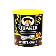 Quaker Yulaf Ezmesi 24 x 500 G