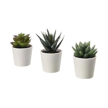 Sumuhome Fejka Saksılı Yapay Bitki Kaktüs 6 Cm 3 Adet