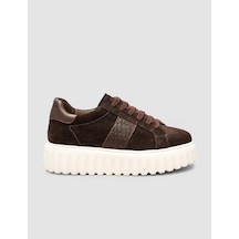 Süet Bağıcıklı Kroko Kahverengi Kadın Sneaker Ayakkabı Kahverengi
