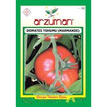 Arzuman Marmande Domates Tohumu 5 G