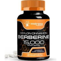 Wellnees Labs Liposomal Berberine + Ceylon Cinnamon+turmeric + Ginseng + Ginkgo Biloba 15,000mg 12