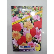 Karanfil Çiçeği Tohumu Paket N115860