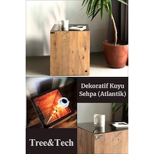 Atlantik Çam