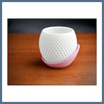 Buradabulabilirsin 3d Baskı Küre Saksı - Kafes Dokulu İki Parçalı Dekoratif Saksı - Beyaz-pembe Bbz