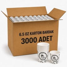 3000