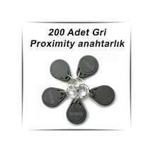 200 Adet Gri Proximity Anahtarlık