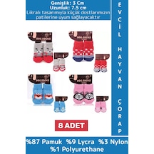 Evcil Hayvan Küçük Irk Kedi Köpek Likralı Kaydırmaz Sıcak Tutan Sevimli Örme Çorap 3 X 7.5 Cm 8 Adet