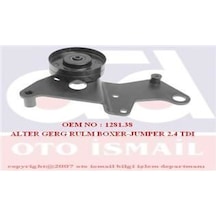 INA 531022710 V KAYIŞ GERGİ RULMANI BOXER / JUMPER 96-02 2.5 TDI