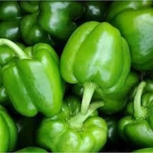 100 Adet Tohum Ince Kabuk Yeşil Dolmalık Biber Tohumu Organik Bahçe Saksılık Dolma Biber Saksı Topra