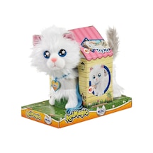 Golı 920196 Kedi