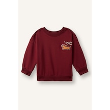 Defacto Oversize Hayvan Baskılı Bisiklet Yaka İçi Yumuşak Tüylü Sweatshirt Erkek Bebek I3807a526wnbr281 Bordo-br281