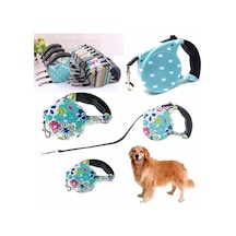 Desenli Köpek Tasması - Pup Style Diğer