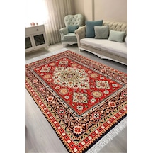 Alanur Kaymaz Yıkanabilir Dijital Baskılı Salon Halısı Trend Saçaklı Otantik E6002 Renkli