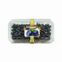 Tuğba Kuruyemiş Blueberry Kurusu 220 G