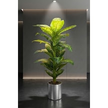 Cihan Çiçekçilik Yapay Difenbahya Yapay Ağaç 170 Cm 30x30 Galvaniz Saksı Beyaz- Yeşil